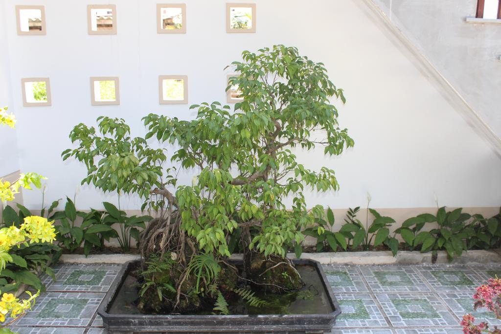 Hoian Joy Homestay Hội An Buitenkant foto