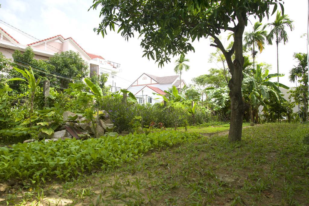 Hoian Joy Homestay Hội An Buitenkant foto